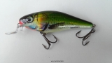 Salmo Executor 7 cm SR EF