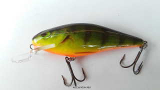 Salmo Executor 7 cm SR RHP